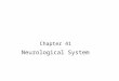 Chapter 41 Neurological System. The capabilities of the human brain … Hope you find it interesting