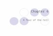 Chapter 6 A Tour of the Cell. You should be able to: 1.Distinguish between the following pairs of terms: magnification and resolution; prokaryotic and