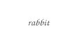 Rabbit. race rack radio radish rag rail railroad