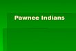 Pawnee Indians. Where Did the Pawnee Live? They lived in the Plains Region They lived in the Plains Region The Great Plains lie in the center of North