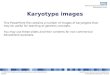 © 2009 NHS National Genetics Education and Development CentreGenetics and Genomics for Healthcare  Karyotype images This PowerPoint