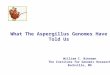What The Aspergillus Genomes Have Told Us William C. Nierman The Institute for Genomic Research Rockville, MD