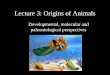 1 Lecture 3: Origins of Animals Developmental, molecular and paleontological perspectives