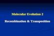 Molecular Evolution 2 Recombination & Transposition
