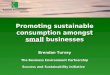 Promoting sustainable consumption amongst small businesses Brendan Turvey The Business Environment Partnership Success and Sustainability Initiative