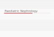 Paediatric Nephrology. Teaching website 