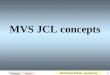 1 Summary Prev.Pg. Alberto Romano Schiesari –  MVS JCL concepts