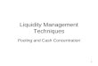 1 Liquidity Management Techniques Pooling and Cash Concentration