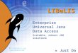 1 LIBeLIS Enterprise Universal Java Data Access Scalable, robust JDO solutions « Just Do Objects ! » info@libelis.com 