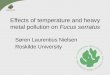 Effects of temperature and heavy metal pollution on Fucus serratus Søren Laurentius Nielsen Roskilde University