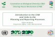 Convention on Biological Diversity (CBD) Clearing-House Mechanism (CHM) Introduction to the CHM and Links to the Planning and Reporting Processes Olivier