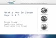 Whats New In Dream Report 4.5 Renee Sikes Applications Engineer Dream Report Brand Manager