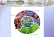 Facilities: A Sampling of Sustainability Efforts Guaranteed Energy Savings Agreement (GESA) Geothermal LEED Building Construction Natural Gas Vehicles
