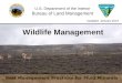 U.S. Department of the Interior Bureau of Land Management Wildlife Management Updated: January 2013