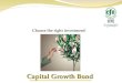Choose the right investment! Capital Growth Bond