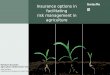 Insurance options in facilitating risk management in agriculture Reinhard Kuschke Agriculture Underwriter Swiss Re 2009 AFRACA Integrated Risk Management