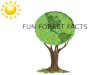 FUN FOREST FACTS. Directions Go through the next few slides to find out information on our 3 types of forests. After you go to a website, come back to