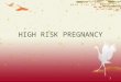 High Risk Pregnancy Finale