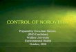 CONTROL OF NOROVIRUS Prepared by Erva-Jean Stevens (PhD Candidate) Walden University Environmental Health October, 2010