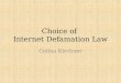 Choice of Internet Defamation Law Celina Kirchner