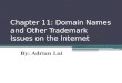 Chapter 11: Domain Names and Other Trademark Issues on the Internet By: Adrian Lui