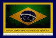 Ryan Devine Michael Higgins Paras Kamdar Patrick Kaminski Michael Orton Ryan Waldron US/MULTINATIONAL BUSINESSES IN BRAZIL