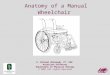 Anatomy of a Manual Wheelchair D. Michael McKeough, PT, EdD Associate Professor Department of Physical Therapy © 2007 All rights Reserved
