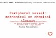 Peripheral vessel: mechanical or chemical closure Cardiovascular Interventional laboratoratory, San Donato Milanese Hospital, Milano Director Prof. Luigi