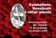 Symbolism: Rosebush and other plants Nanor Mooradian Mrs. Halajian 11 AP Language 24 January 2008