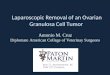Laparoscopic Removal of an Ovarian Granulosa Cell Tumor Antonio M. Cruz Diplomate American College of Veterinay Surgeons