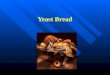 Yeast Bread. What part does each play in the making of bread? GLUTEN – provides dough with elasticity and strength. GLUTEN – provides dough with elasticity