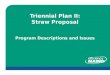 Triennial Plan II: Straw Proposal Program Descriptions and Issues