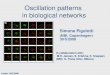 Oscillation patterns in biological networks Simone Pigolotti (NBI, Copenhagen) 30/5/2008 In collaboration with: M.H. Jensen, S. Krishna, K. Sneppen (NBI)