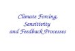 Climate Forcing, Sensitivity and Feedback Processes