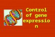Control of gene expression. Every cell has at least one chromosome consisting of a DNA molecule. Each chromosome contains genes – pieces of a DNA molecule