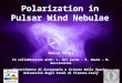 Polarization in Pulsar Wind Nebulae Delia Volpi In collaboration with: L. Del Zanna - E. Amato - N. Bucciantini Dipartimento di Astronomia e Scienza dello