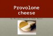 Provolone cheese By Micaela Eliot & Neda Moini. History and origins Started in Southern Italy first written about by Columella Started in Southern Italy
