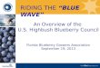 An Overview of the U.S. Highbush Blueberry Council Florida Blueberry Growers Association September 19, 2013 RIDING THE BLUE WAVE