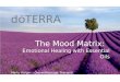 The Mood Matrix: Emotional Healing with Essential Oils Marty Harger – Owner/Massage Therapist Balance – Therapeutic Massage and Wellness Center