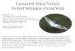 Unmanned Aerial Vehicle 16 Foot Wingspan Flying Wing Christopher Good Test Manager, Senior Software Engineer AAI Corporation, Unmanned Aerial Vehicles