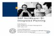SAP BI-IP overview