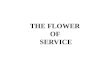 FLOWER OF SERVICE