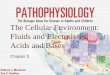 1 The Cellular Environment: Fluids and Electrolytes, Acids and Bases Chapter 3