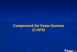 Compressed Air Foam Systems (CAFS). 124 Air Metering Valves Check Valve Water Valve Compressed Air Water Pump Foam Tank Water Tank Pressure Gauges Screw