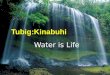 Tubig:Kinabuhi Water is Life. Tamugan Surface Water Development Project