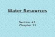 Water Resources Section #1: Chapter 11. Water The Water Planet - abundant found in three phases fresh & salt essential to life on Earth renewable resource