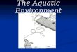 The Aquatic Environment. Estuaries A coastal body of water surrounded by land with access to the open ocean. A coastal body of water surrounded by land