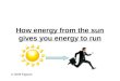 How energy from the sun gives you energy to run © 2009 Elgqvist