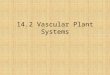 14.2 Vascular Plant Systems. Think about how your body systems work. your circulatory system transports food, oxygen, water, minerals, and other materials