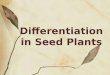 Differentiation in Seed Plants. Outlines: Primary Tissues Xylem Tissue Arrangement and Differentiation Stele Evolutionary Development Leaf Evolutionary